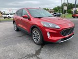 Used 2022 Ford Escape SEL image 6