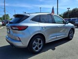 Used 2024 Ford Escape ST-Line w/ Tech Pack #1 image 6
