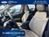 Used 2020 Ford Escape SEL image 2