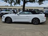 Used 2023 Ford Mustang Premium image 2