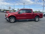 Used 2015 Ford F150 XLT w/ Equipment Group 302A Luxury image 4