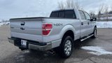 Used 2014 Ford F150 XLT w/ Equipment Group 302A Luxury image 4