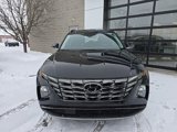 Used 2024 Hyundai Tucson Limited image 2