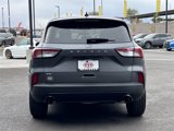 Used 2022 Ford Escape SE w/ SE Sport Appearance Package image 5