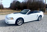 Used 1999 Ford Mustang Cobra image 3