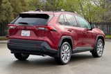 Certified 2019 Toyota RAV4 XLE Premium image 4