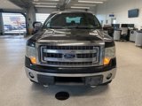 Used 2013 Ford F150 XLT image 2