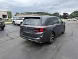 Used 2025 Honda Odyssey EX-L image 5