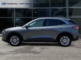 Used 2022 Ford Escape SE image 5