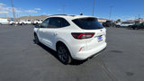 New 2024 Ford Escape ST-Line w/ Tech Pack #1 image 5