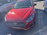 Used 2019 Hyundai Sonata Sport w/ Tech Package 03 image 2
