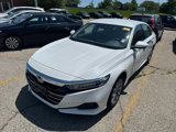 Used 2022 Honda Accord LX image 4