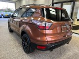 Used 2017 Ford Escape SE w/ SE Sport Appearance Package image 4