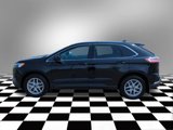 Used 2024 Ford Edge SEL image 4