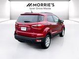 Used 2019 Ford EcoSport SE w/ SE Convenience Package image 5