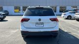 Used 2024 Volkswagen Tiguan SE image 5