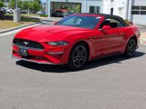 Used 2022 Ford Mustang Premium image 6