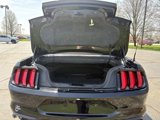 Used 2020 Ford Mustang Premium image 5