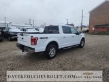 Used 2016 Ford F150 XLT w/ Equipment Group 302A Luxury image 5
