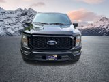 Certified 2023 Ford F150 XL w/ STX Appearance Package image 3