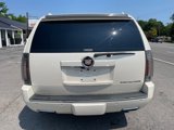 Used 2013 Cadillac Escalade Premium image 6
