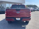 Used 2019 Ford F150 XLT w/ Equipment Group 302A Luxury image 5