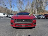 Certified 2024 Ford Mustang Premium image 2