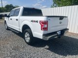 Used 2019 Ford F150 XLT image 4
