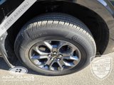 Used 2024 Ford Maverick XLT w/ Equipment Group 300A Standard image 4