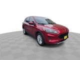 Used 2020 Ford Escape SE image 2