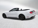 Used 2017 Ford Mustang Premium image 5