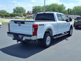 Used 2020 Ford F250 XLT w/ XLT Premium Package image 2