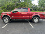 Used 2014 Ford F150 FX4 w/ Equipment Group 402A Luxury image 3