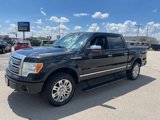 Used 2011 Ford F150 Platinum image 2