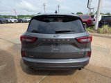 Used 2023 Ford Escape ST-Line w/ Tech Pack #1 image 6