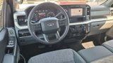 Used 2024 Ford F250 XLT image 3