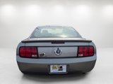 Used 2009 Ford Mustang Coupe image 6