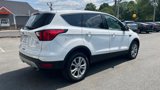 Used 2019 Ford Escape SE image 4