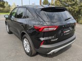 Used 2025 Ford Escape Active w/ Tech Pack #1 image 4