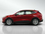 Used 2020 Ford Escape SE image 2