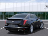 New 2025 Cadillac CT4 Premium Luxury image 4