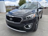 Used 2016 Kia Sorento EX w/ EX Premium Package image 2