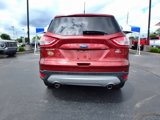 Used 2014 Ford Escape SE w/ Equipment Group 201A image 6