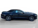 Used 2017 Ford Mustang Premium image 6