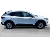 Certified 2024 Ford Escape Active w/ Tech Pack #1 image 6