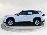 Used 2019 Toyota RAV4 XLE image 5