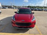 Used 2020 Ford Escape SE image 2