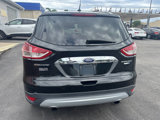 Used 2014 Ford Escape Titanium image 6