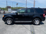 Used 2011 Ford Escape Limited image 2
