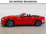 Used 2022 Ford Mustang Premium image 2